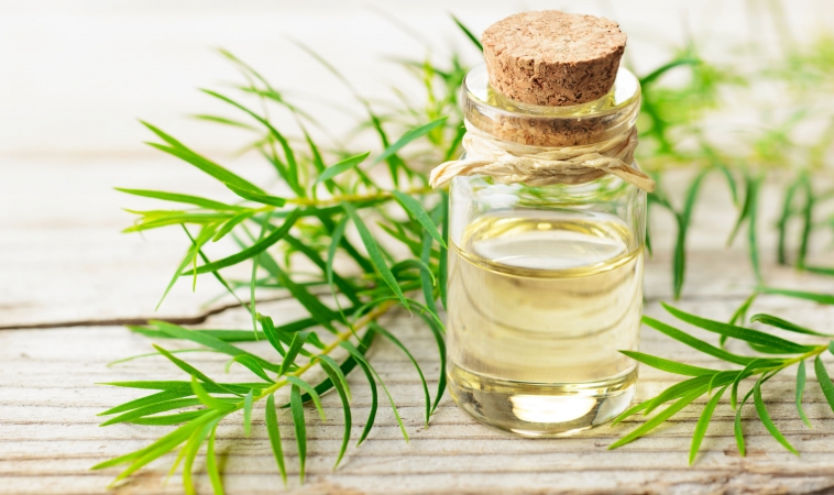 Using Essential Oils on Medical Devices to Stop Bacterial Infections
