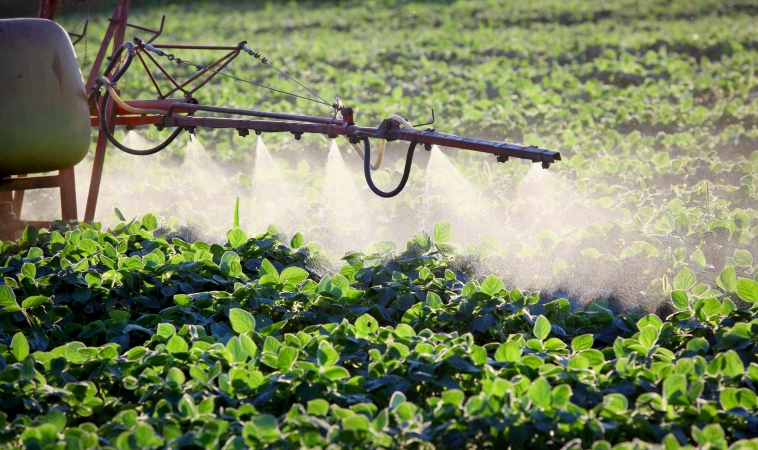 Heavy Use of Herbicide Roundup Linked to Health Dangers 