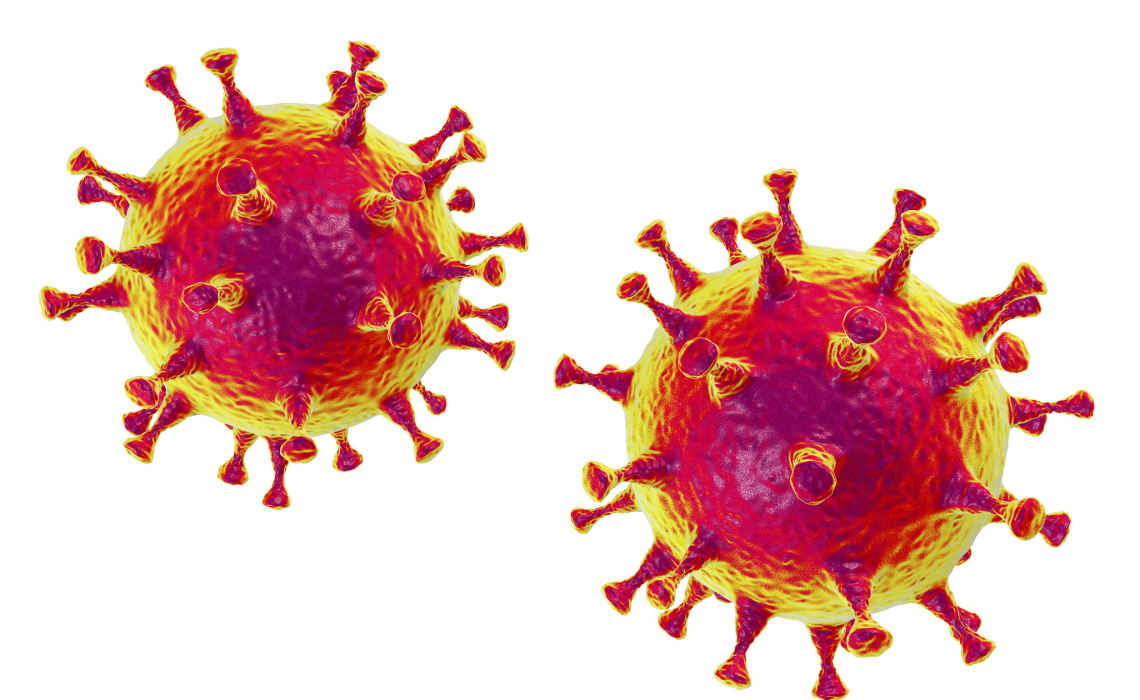 How the Coronavirus Made it From Animals to Humans