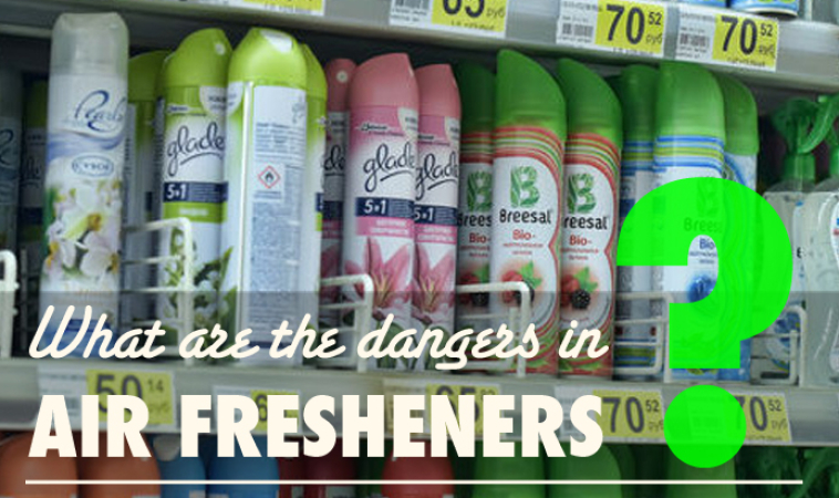 Air Fresheners: Part One – Ingredients