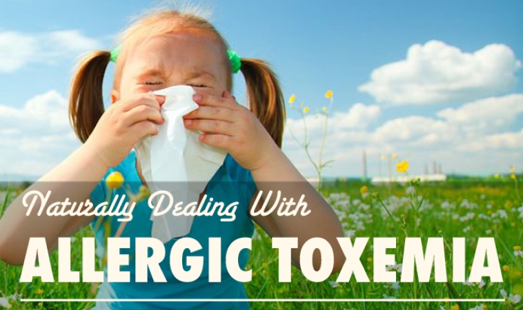 Dealing with “Allergic Toxemia” Naturally