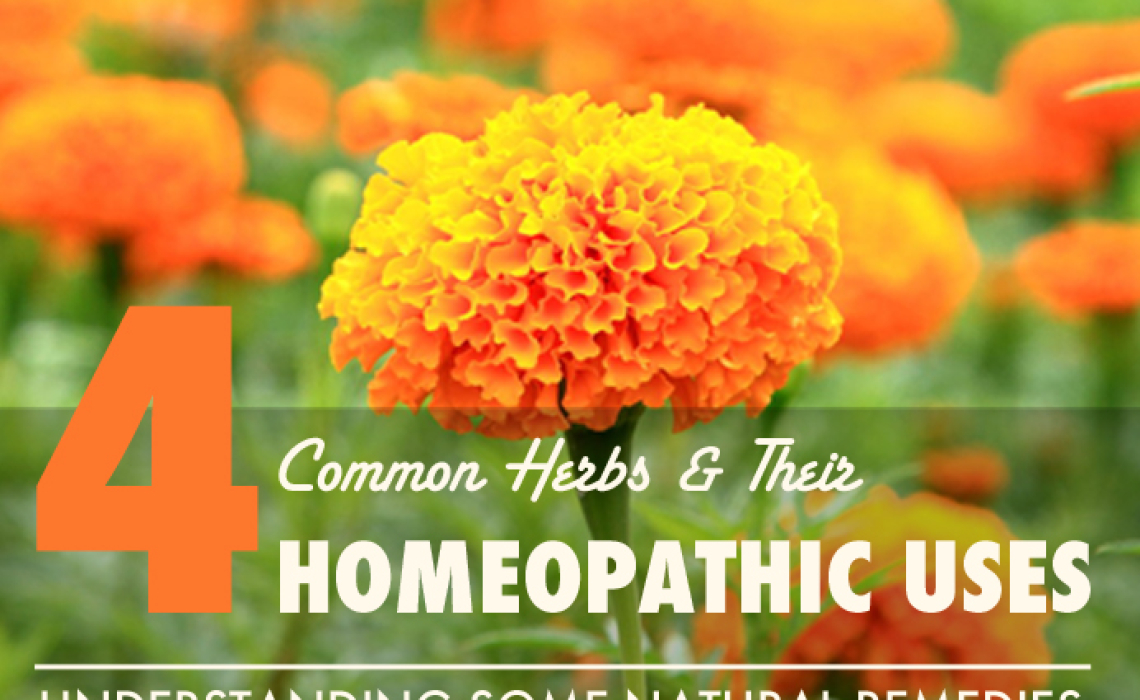 Homeopathic Indications of a Few Common Herbs