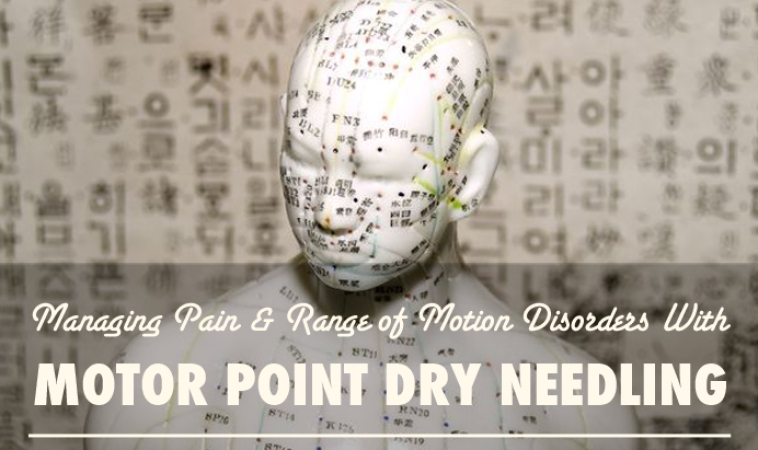 Managing Pain and Range of Motion Disorders with Motor Point Dry Needling