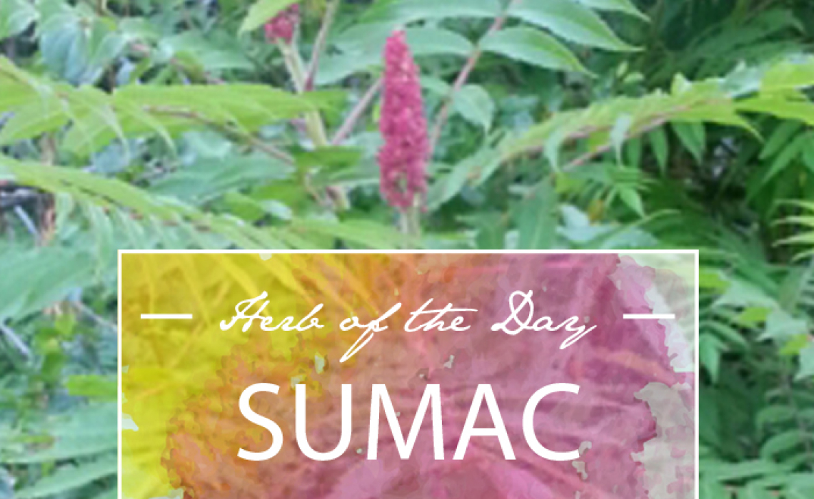 Herb of the Day: Sumac