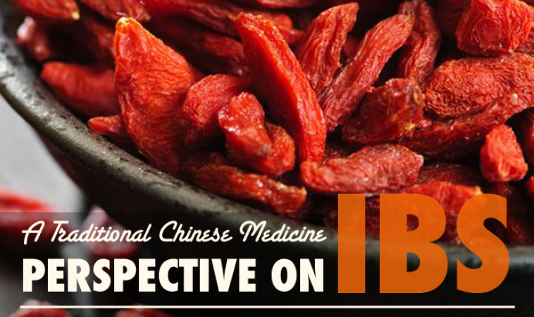 Understanding IBS from a Chinese Medicine Perspective