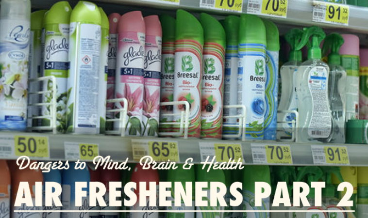 Air Fresheners Part Two: Do we Even Want Them?