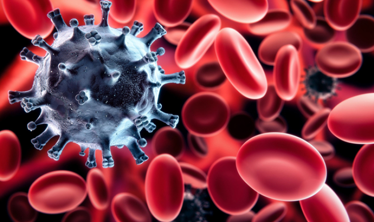 Adults Have Risky Autoreactive Immune Cells