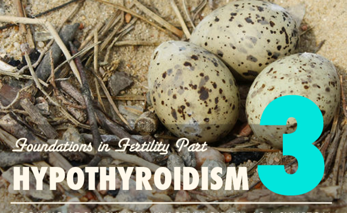 Foundations of Fertility Part 3: Subclinical Hypothyroidism