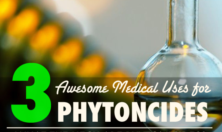 3 Medical Uses for Essential Oils & Phytoncides