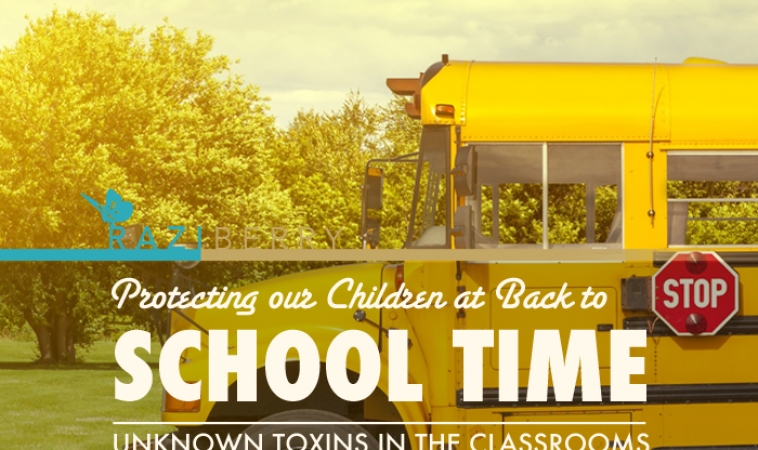 Protecting our Children at Back to School Time