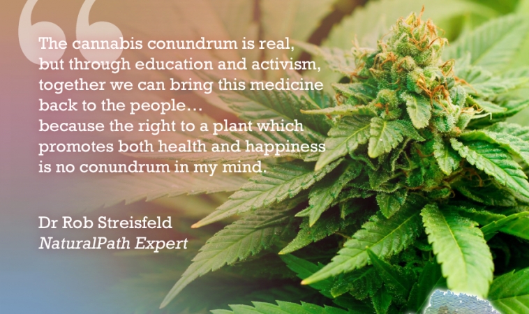 Dr. Rob Streisfeld Discusses the Science and History of Medical Cannabis at the Natural Cancer Prevention Summit
