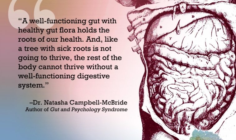 Support a strong, vibrant immune system with Dr Natasha Campbell-McBride, Author of GAPS Diet