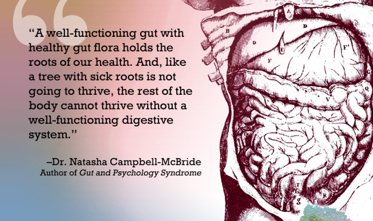 Support a strong, vibrant immune system with Dr Natasha Campbell-McBride, Author of GAPS Diet
