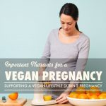 Important Nutrients for a Vegan Pregnancy